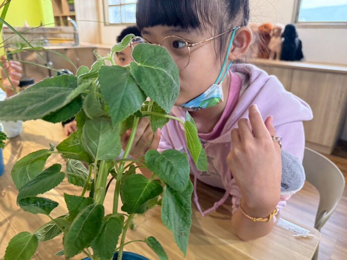 職驗試探教育x體驗活動圖片